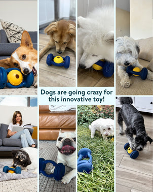 Dogslanding™ Calming PawPartner (Patent Pending) - HPBS