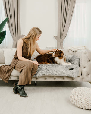 Dogslanding™ Calming Furniture Protector (Advanced Edition) - HPBS