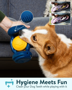 Dogslanding™ Calming PawPartner (Patent Pending) - HPBS