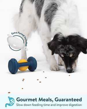 Dogslanding™ Calming PawPartner (Patent Pending) - HPBS