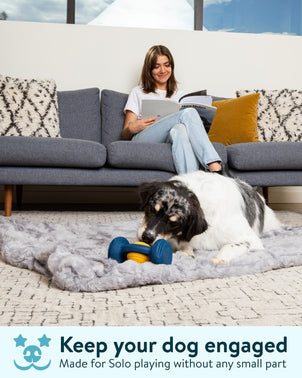Dogslanding™ Calming PawPartner (Patent Pending) - HPBS