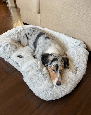 Dogslanding™ Calming Sofa (Memory Foam) - HPBS