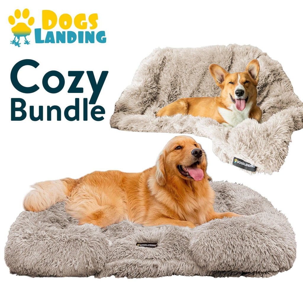 Dogslanding™ | Cozy Bundle