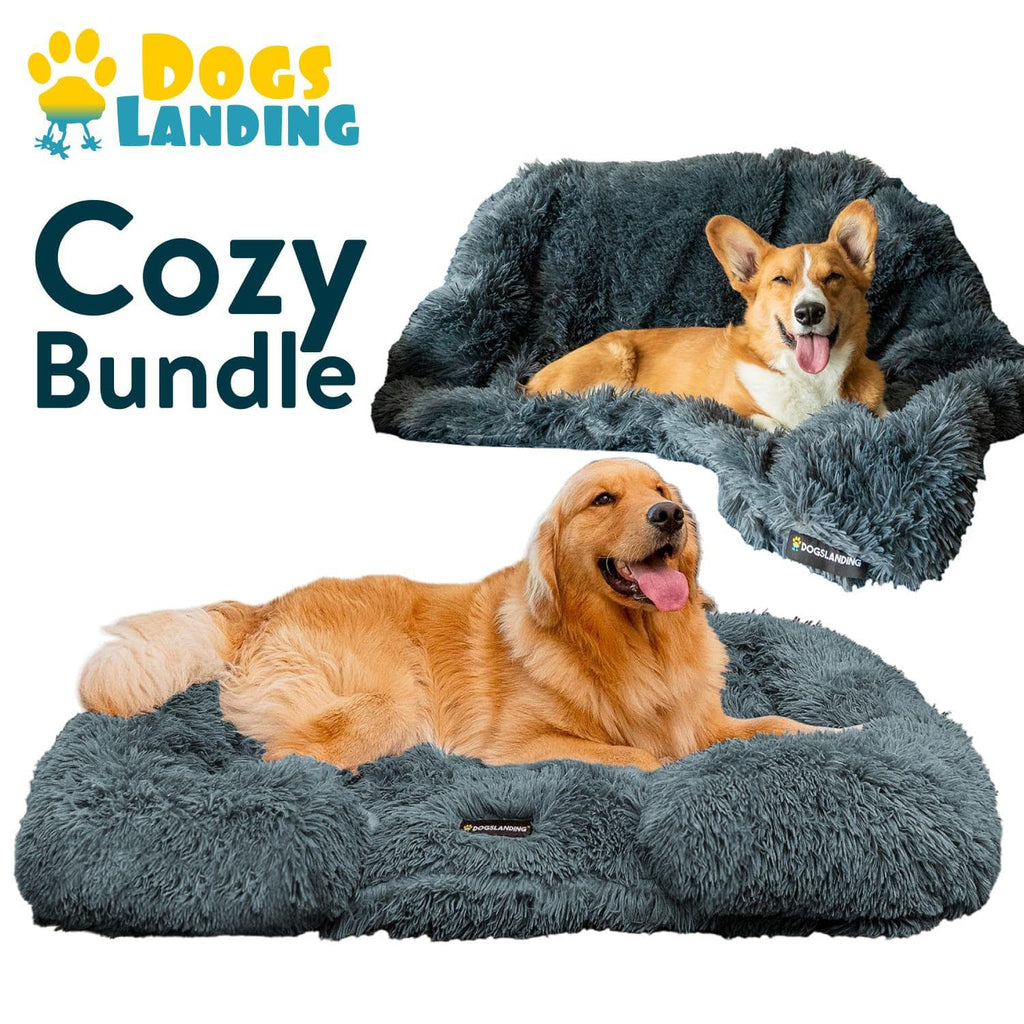 Dogslanding™ | Cozy Bundle
