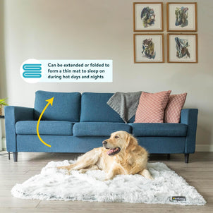 Dogslanding™ Calming Blanket (Advanced Edition)