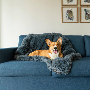 Dogslanding™ Calming Blanket (Advanced Edition)