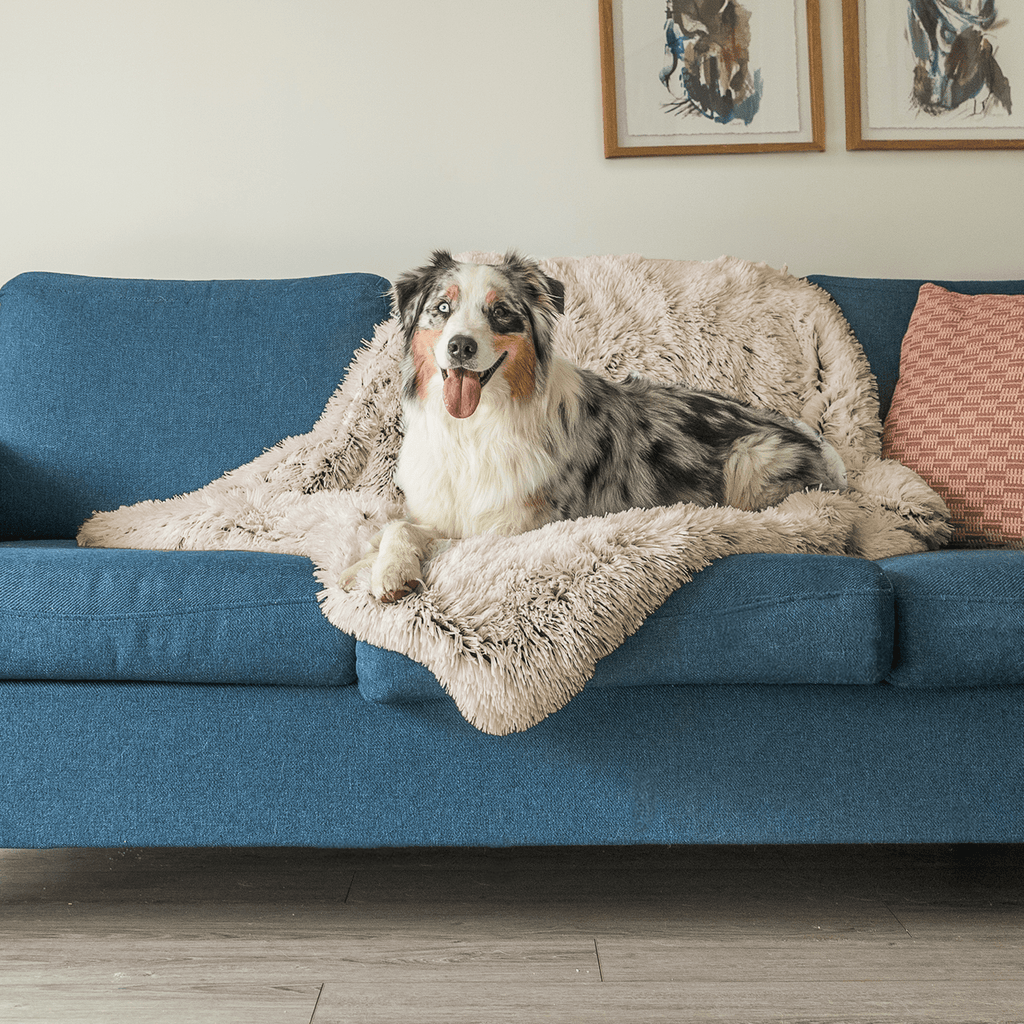 Dogslanding™ Calming Blanket (Advanced Edition)