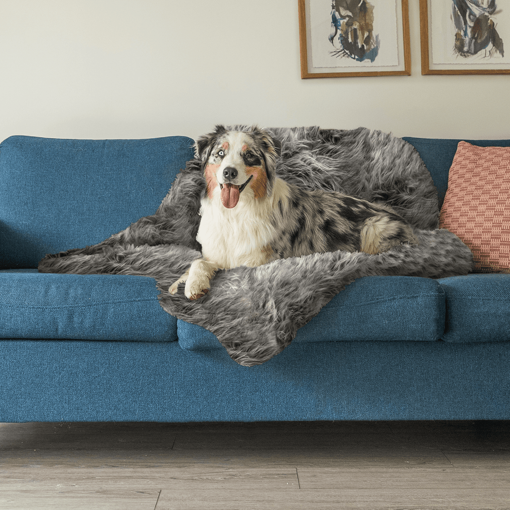 Dogslanding™ Calming Blanket (Advanced Edition)