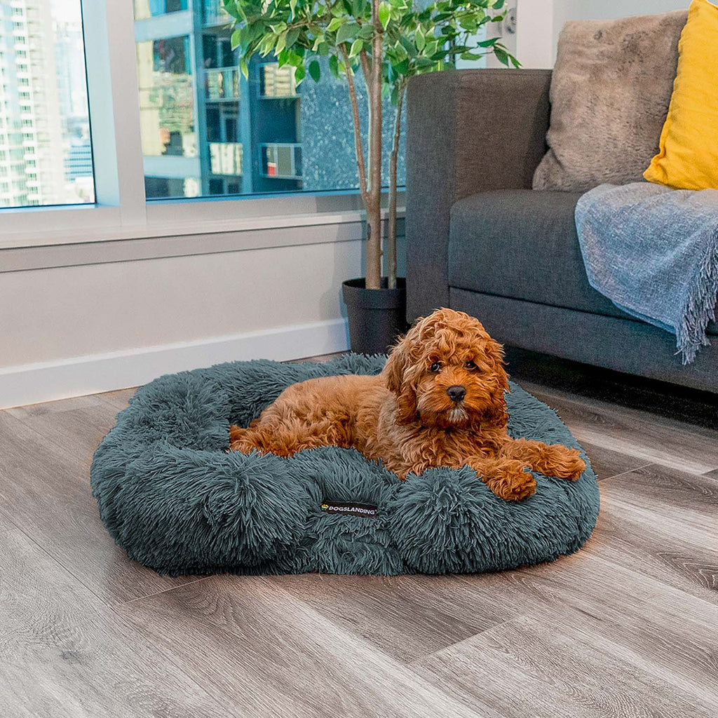 Dogslanding™ Calming Pillow
