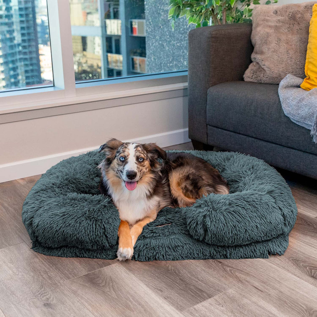 Dogslanding™ Calming Pillow
