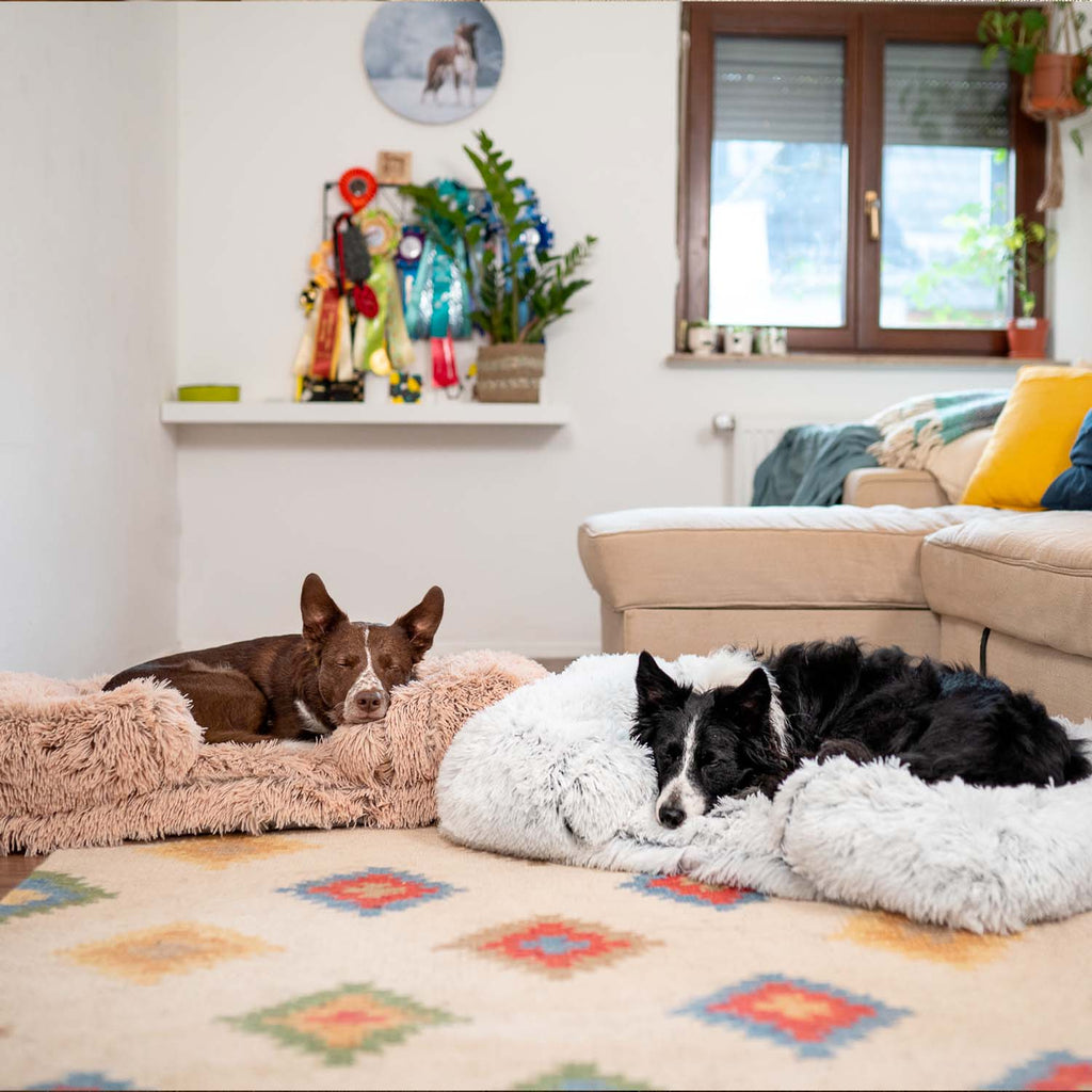Dogslanding™ Calming Pillow