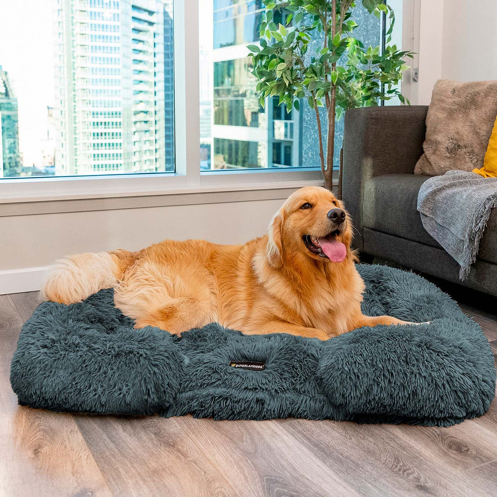Dogslanding™ Calming Pillow