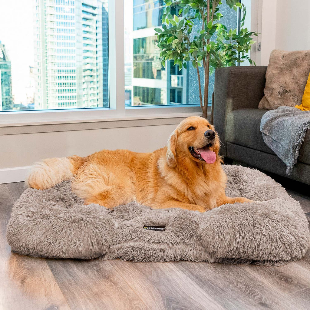Dogslanding™ Calming Pillow