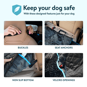 Dogslanding™ | Calming Protection Bundle