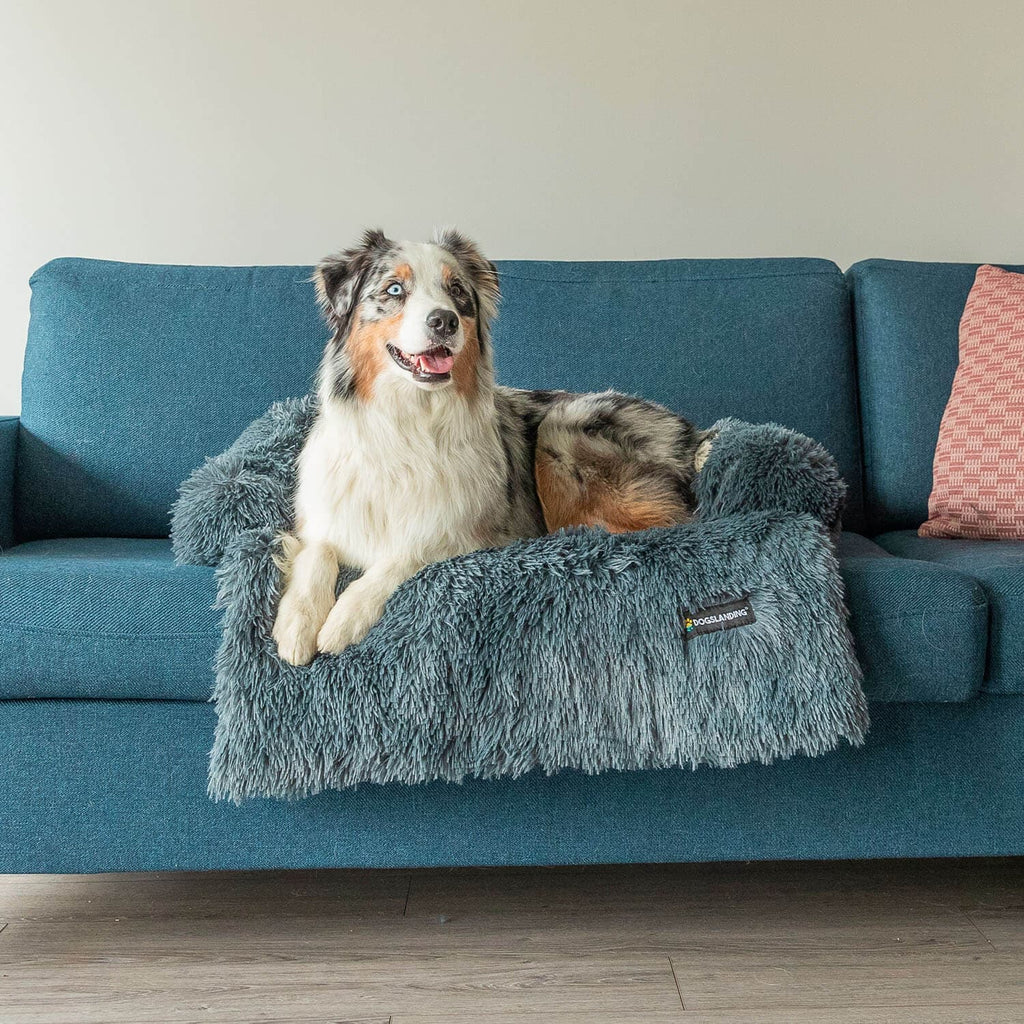 Dogslanding™ | Couch Protector Bundle