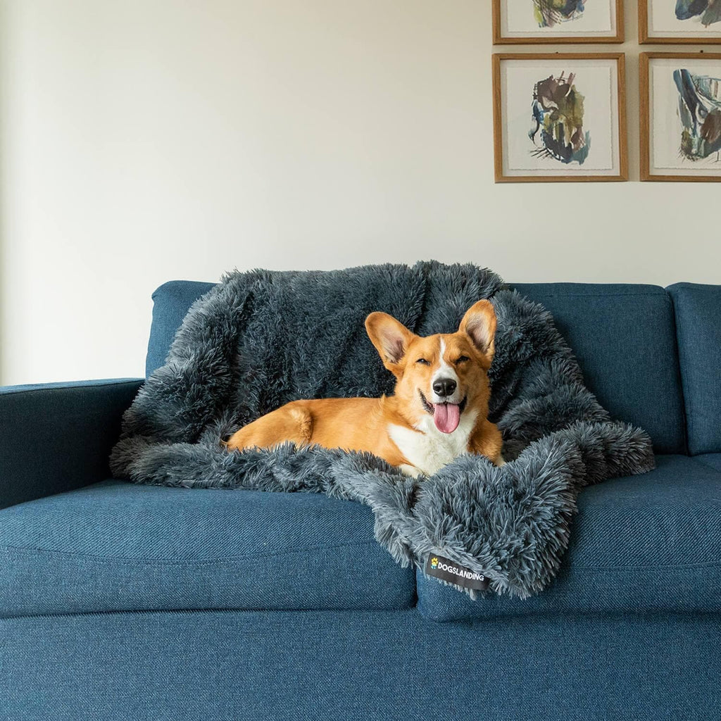 Dogslanding™ | Couch Protector Bundle