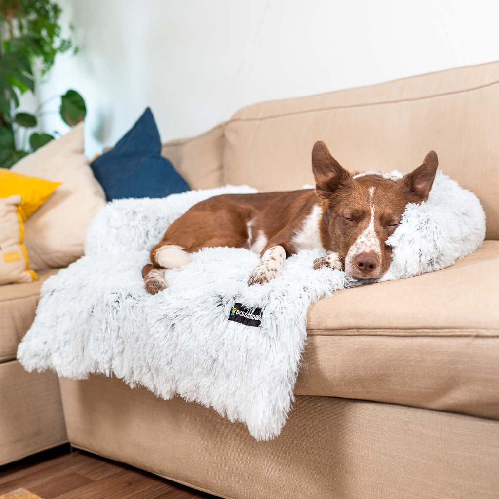 Dogslanding™ | Couch Protector Bundle