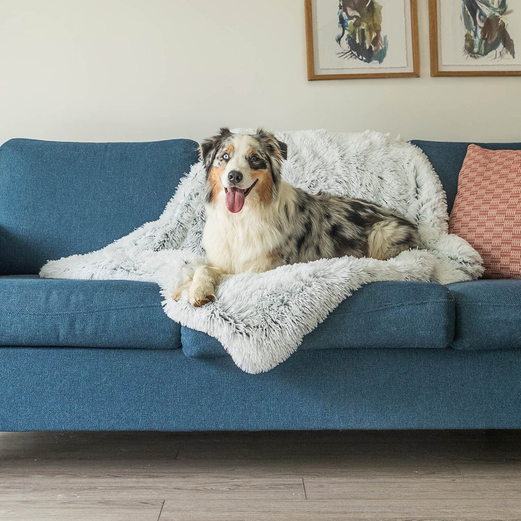 Dogslanding™ | Couch Protector Bundle