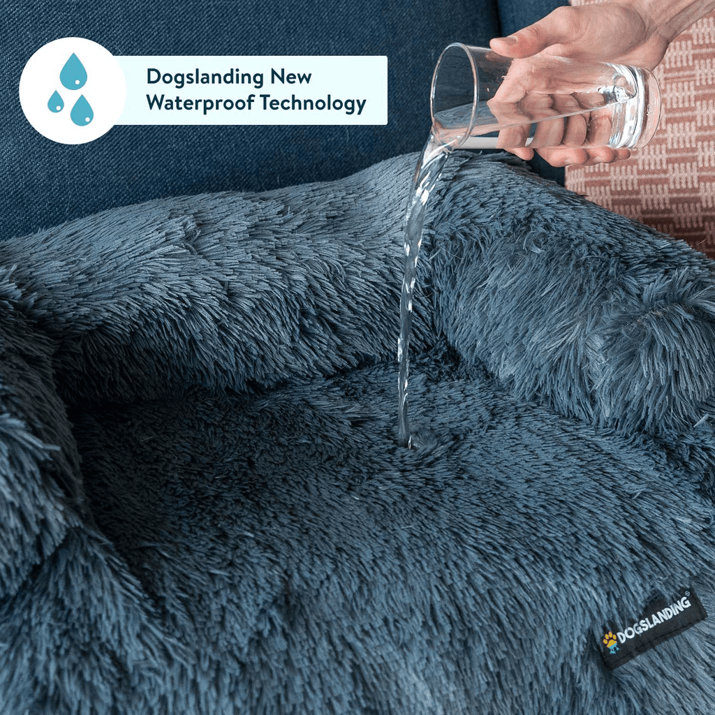 Dogslanding™ | Cozy Bundle