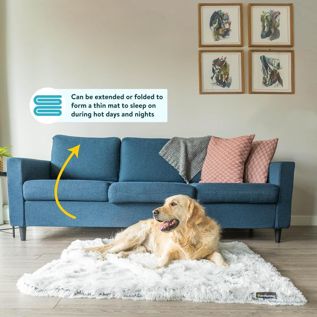 Dogslanding™ | Cozy Bundle