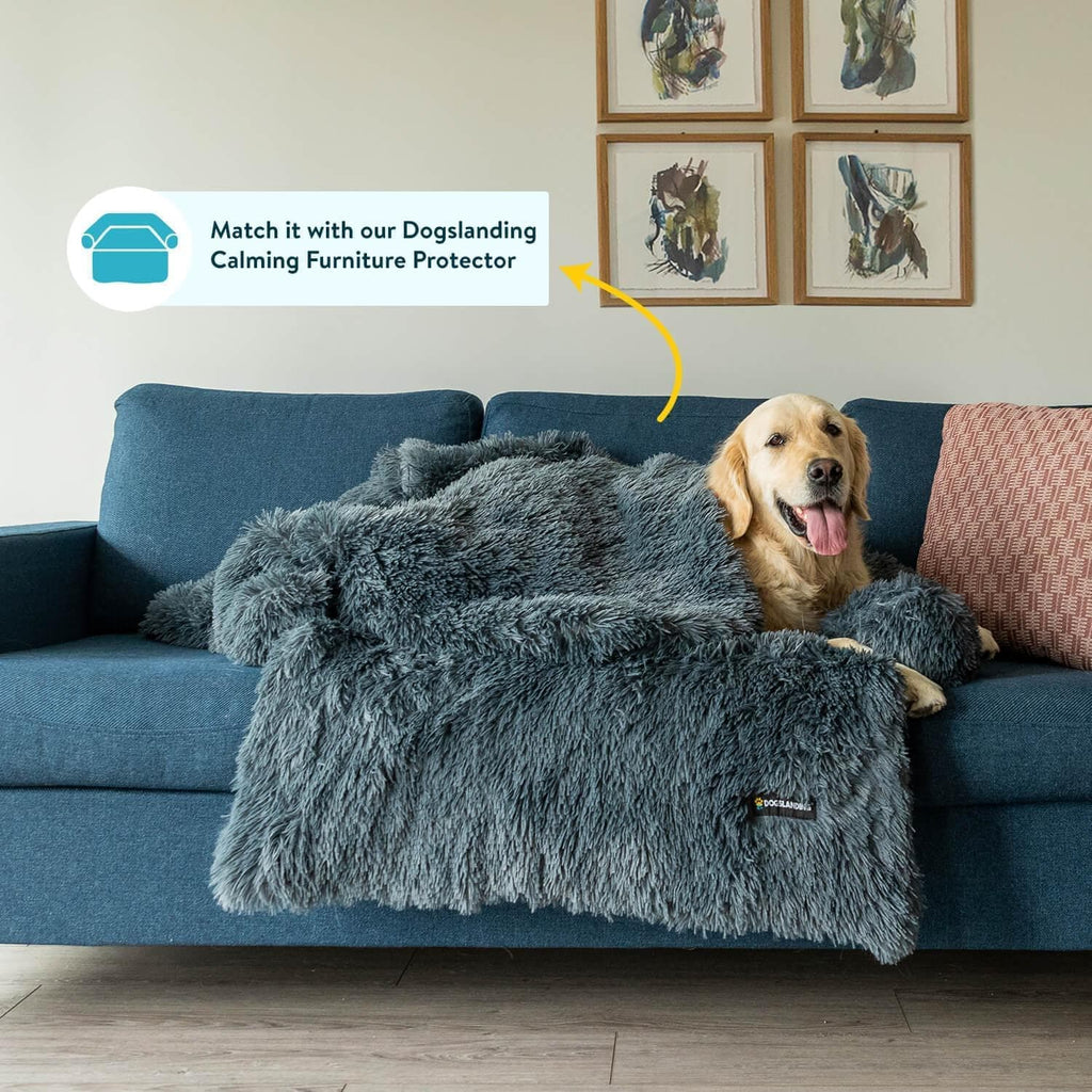 Dogslanding™ | Ultimate Comfy Bundle