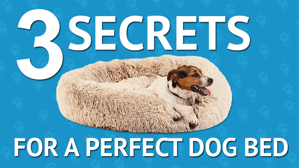 3 Secrets to a Perfect Dog Bed