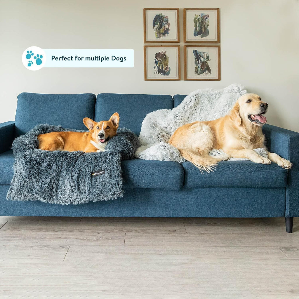Blanket, Sofa, or Furniture Protector: Which Calming Spot Fits Your Dog Best