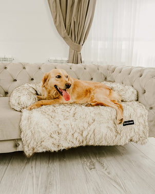 Dogslanding™ | Calming Furniture Protector (Advanced Edition)
