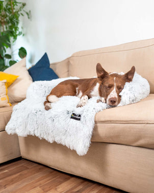 Dogslanding™ || Calming Furniture Protector (Advanced Edition)