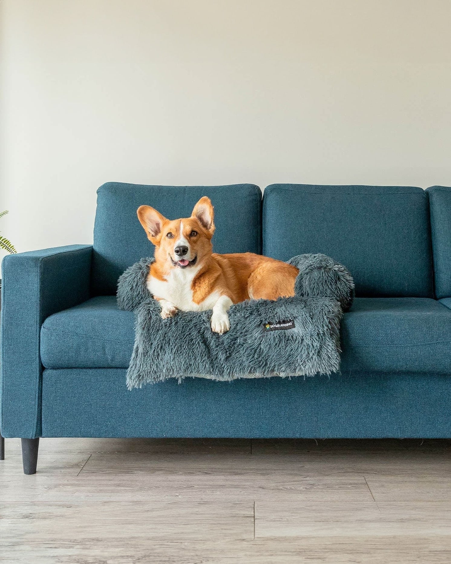 Dogslanding™ Calming Furniture Protector (Advanced Edition)