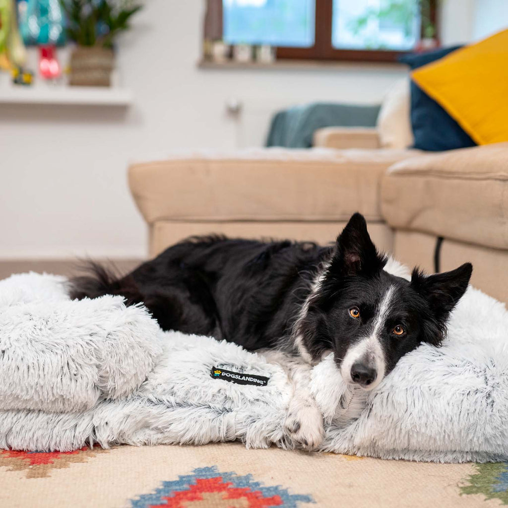 Dogslanding™ || Calming Sofa (Memory Foam)