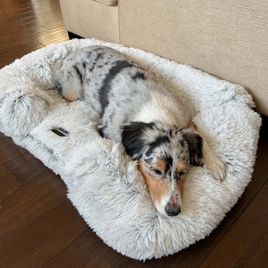 Dogslanding™ ||| Calming Sofa (Memory Foam)