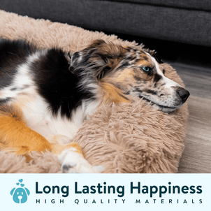 Dogslanding™ ||| Calming Sofa (Memory Foam)