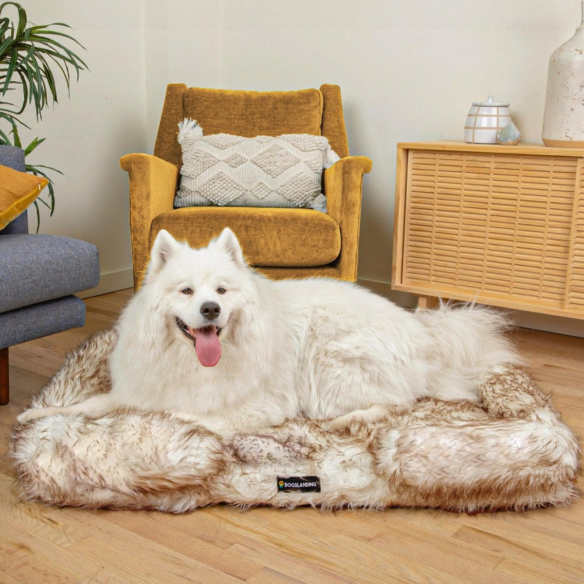 Dog landing shop calming bed