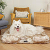 Dogslanding™ ||| Calming Sofa (Memory Foam)