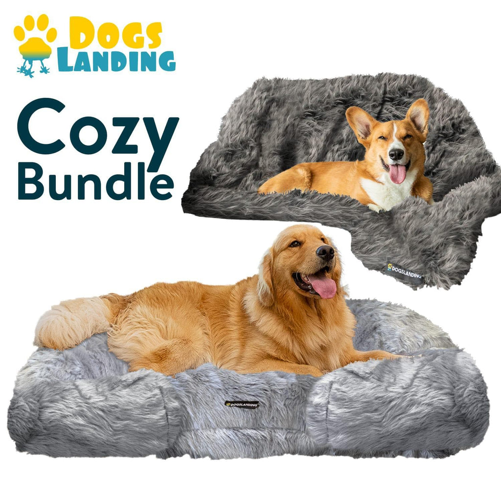 Dogslanding™ | Cozy Bundle