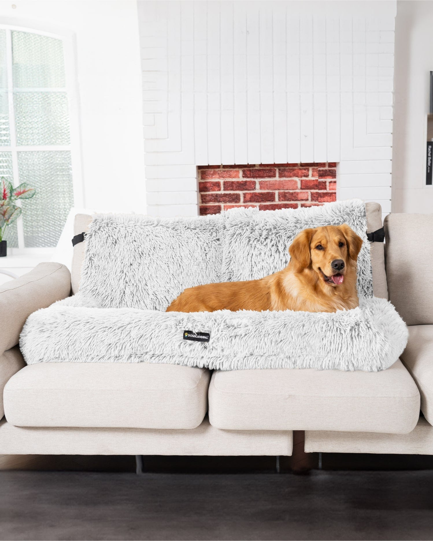 Dogs Landing Couch Protector