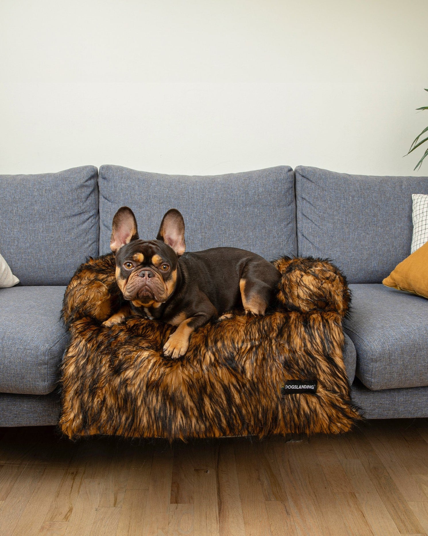 Dogslanding™ Calming Furniture Protector (Advanced Edition