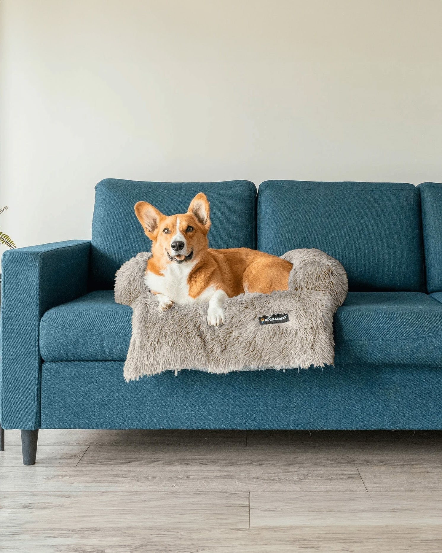 Dogslanding™ Calming Furniture Protector (Advanced Edition)