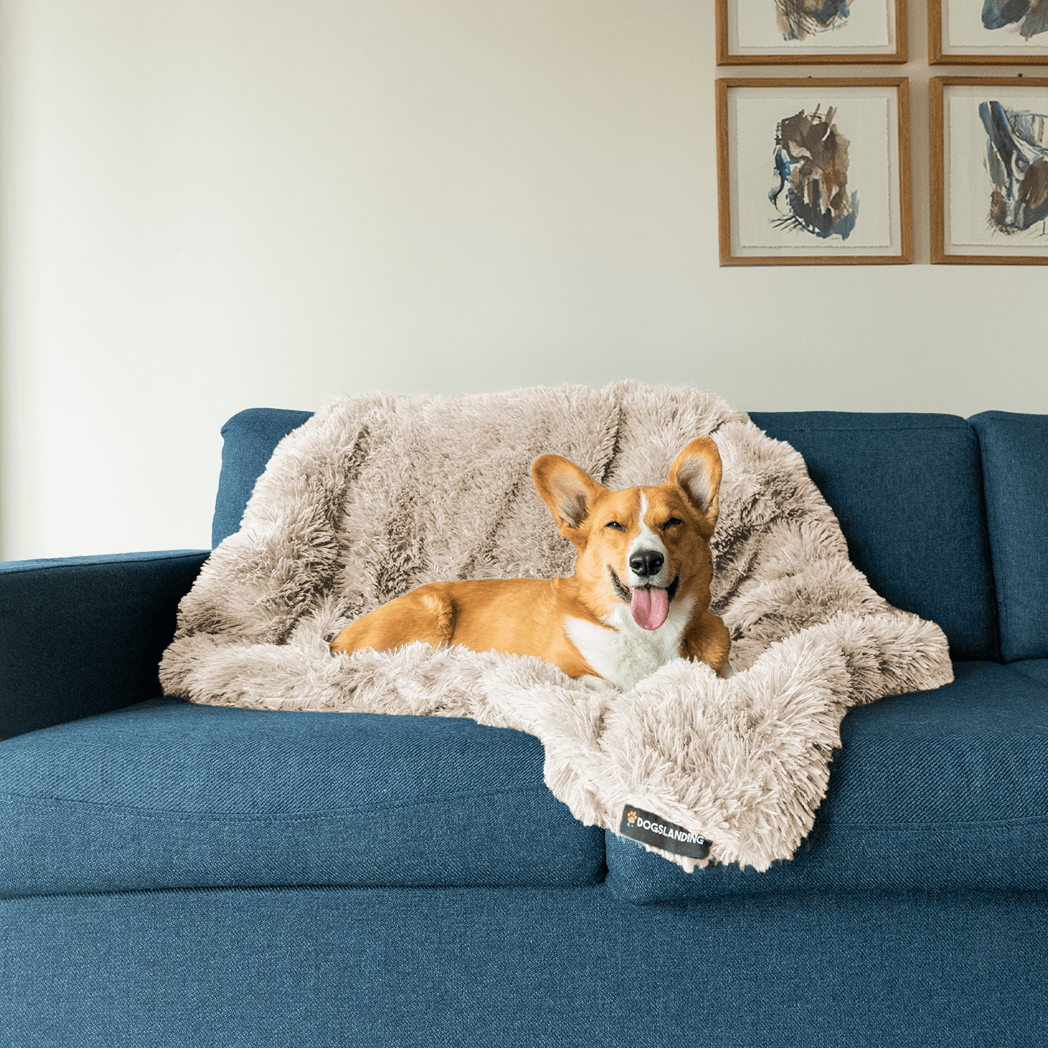 Dogslanding™ Calming Blanket (Advanced Edition)