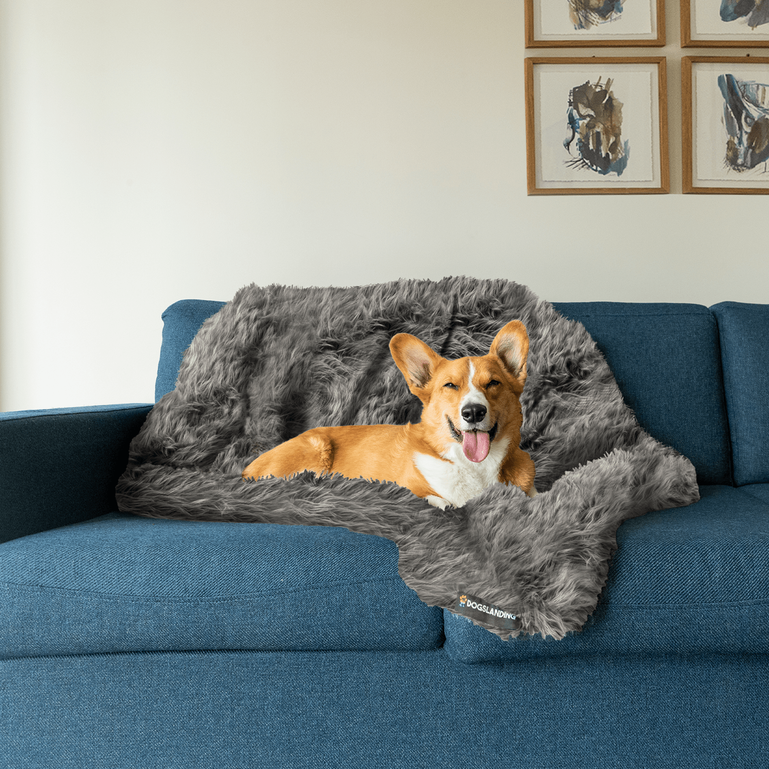 Calming blanket for dogs sale