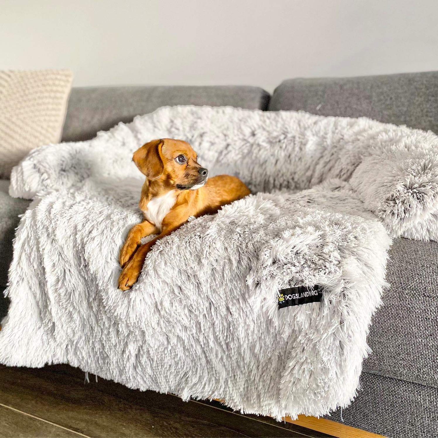 Dogslanding™ Calming Furniture Protector (Basic Edition)