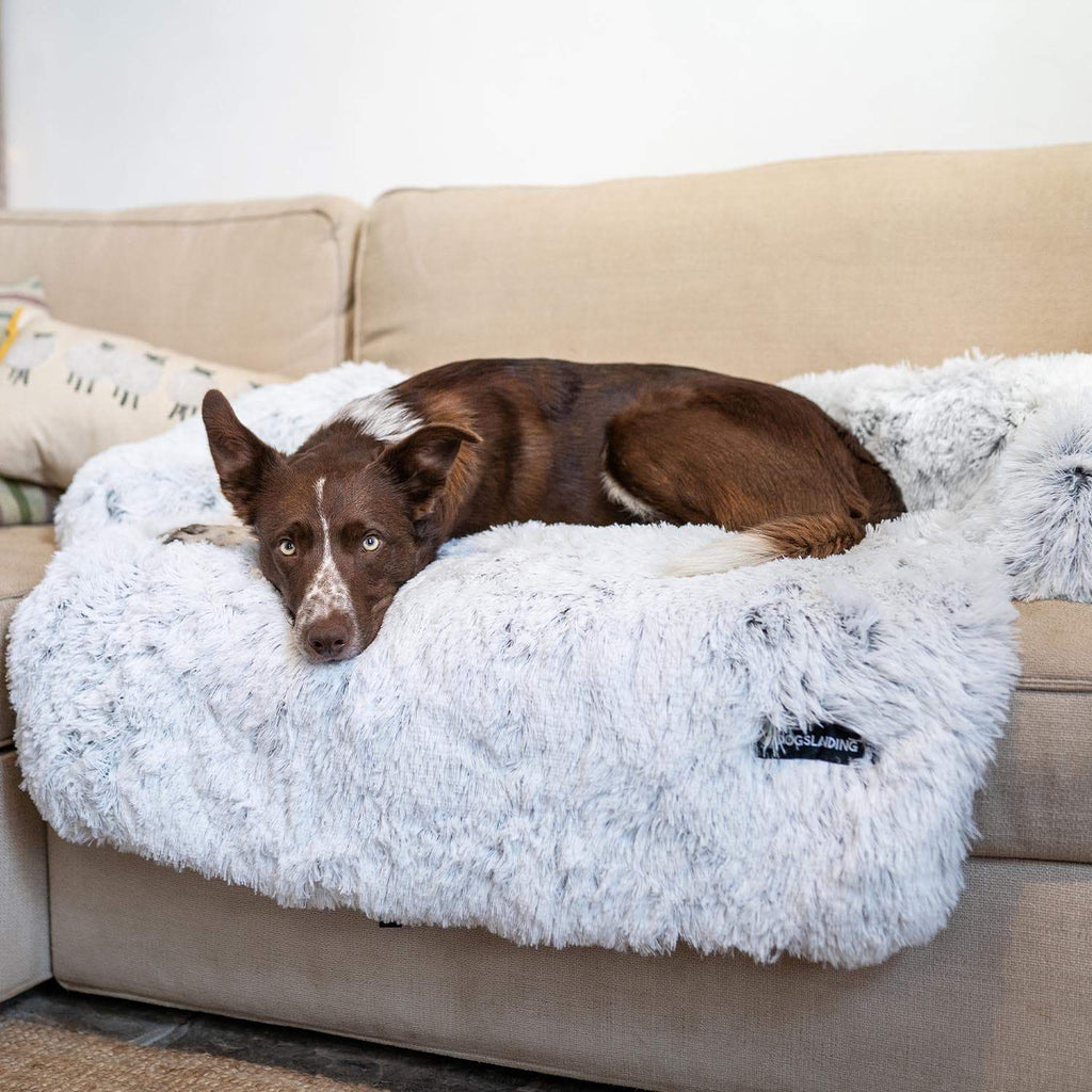 Dogslanding™ Calming Furniture Protector
