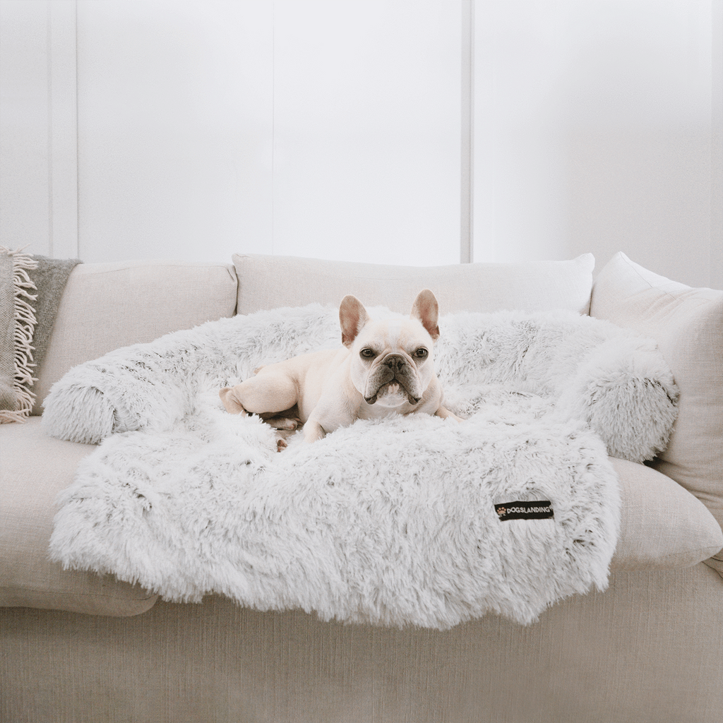 Dog landing calming bed best sale