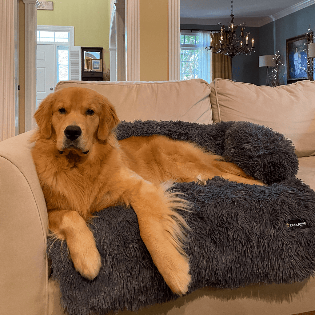 Dogs landing calming bed best sale